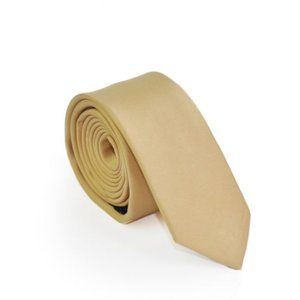 Antique Gold Skinny Tie and Pocket Square